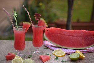 清涼一夏 自制水果冰沙與玻璃飲品，盡享健康美味
